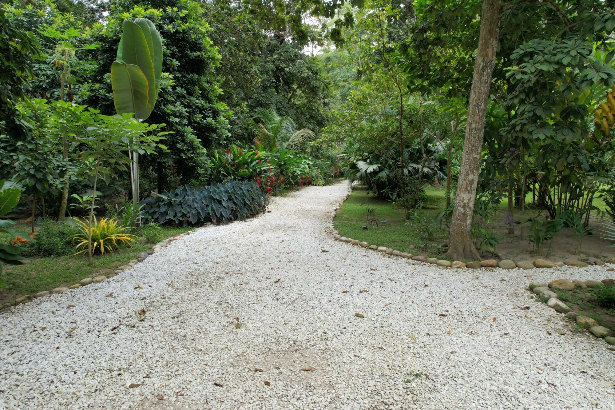 فندق Salvia Madre Guachaca المظهر الخارجي الصورة