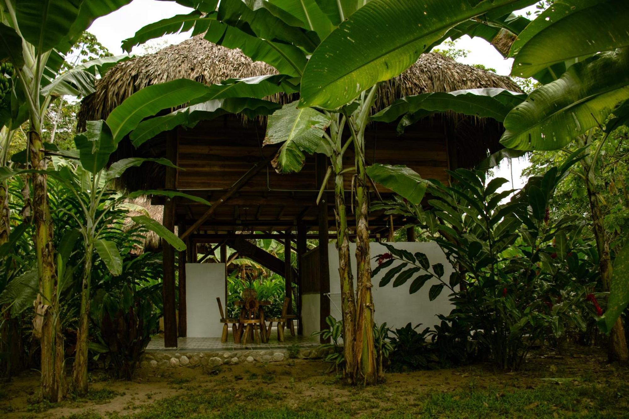 فندق Salvia Madre Guachaca المظهر الخارجي الصورة