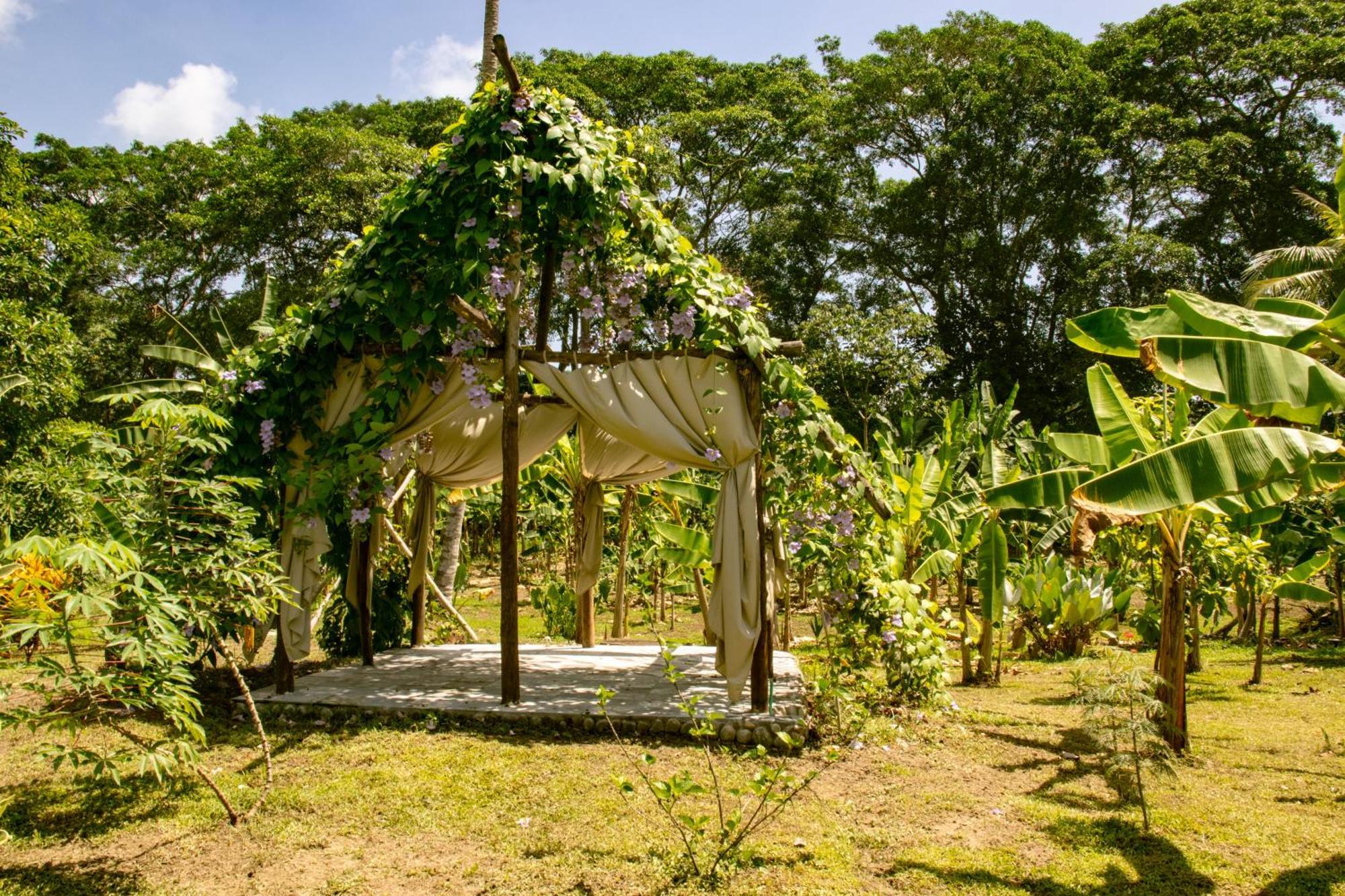 فندق Salvia Madre Guachaca المظهر الخارجي الصورة