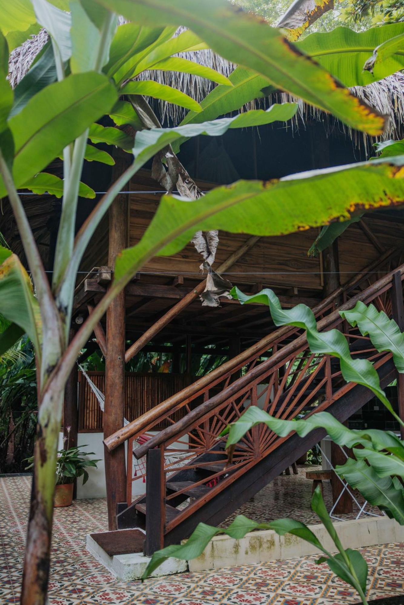 فندق Salvia Madre Guachaca المظهر الخارجي الصورة